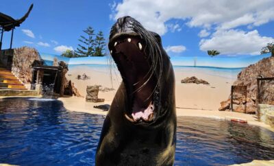 5 Things to do in Benidorm